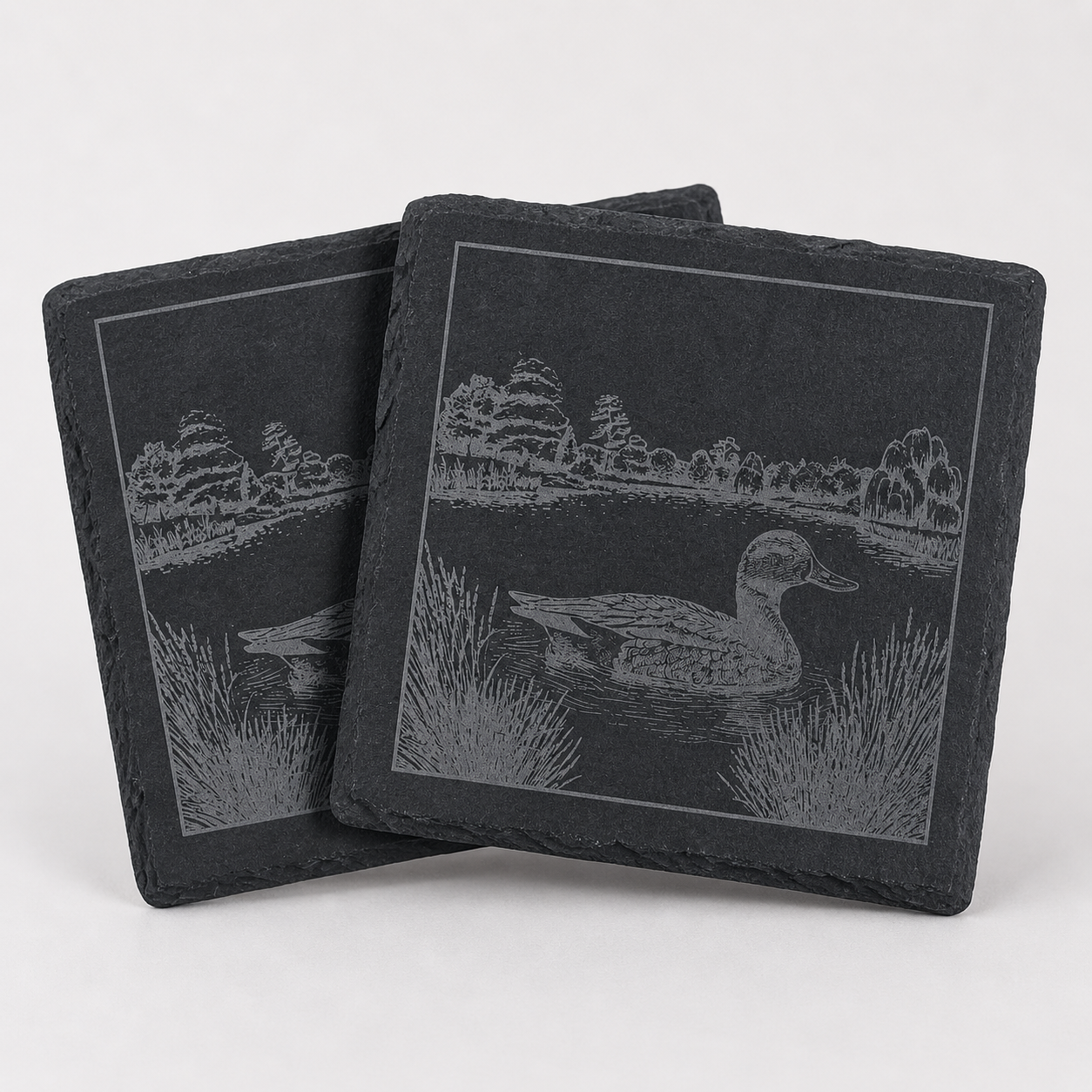 Slate Coasters - 2026 Wildlife Collection