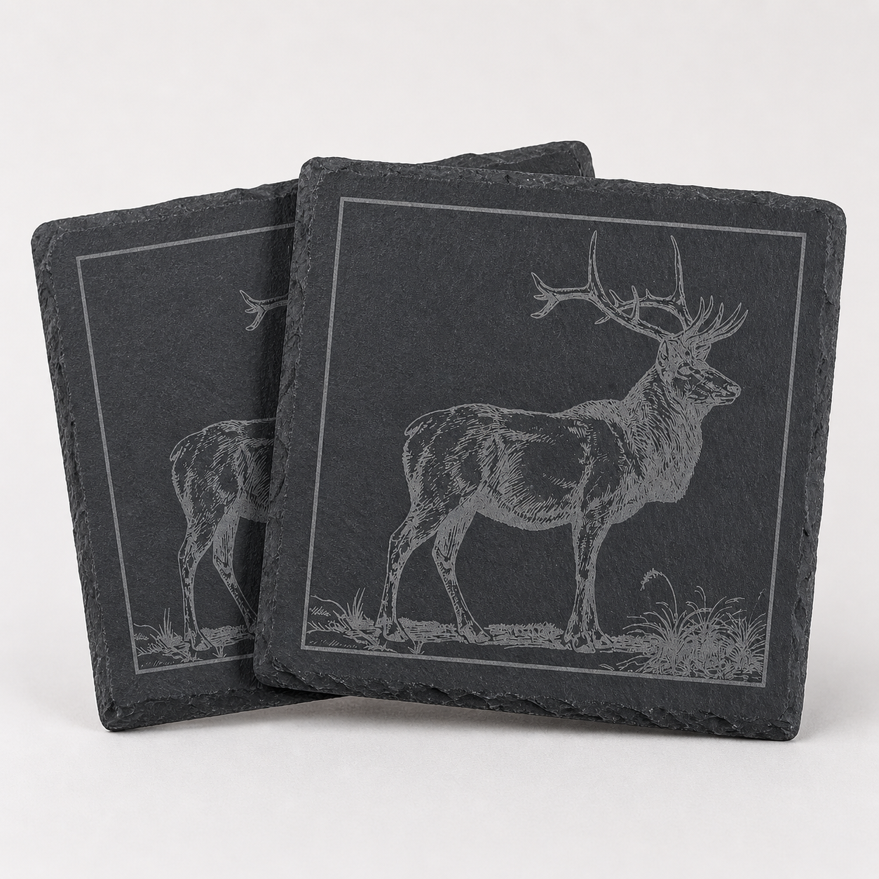 Slate Coasters - 2026 Wildlife Collection