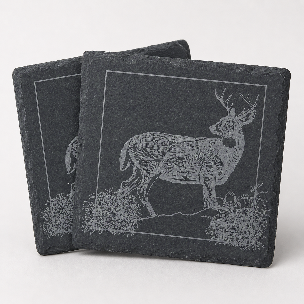 Slate Coasters - 2026 Wildlife Collection