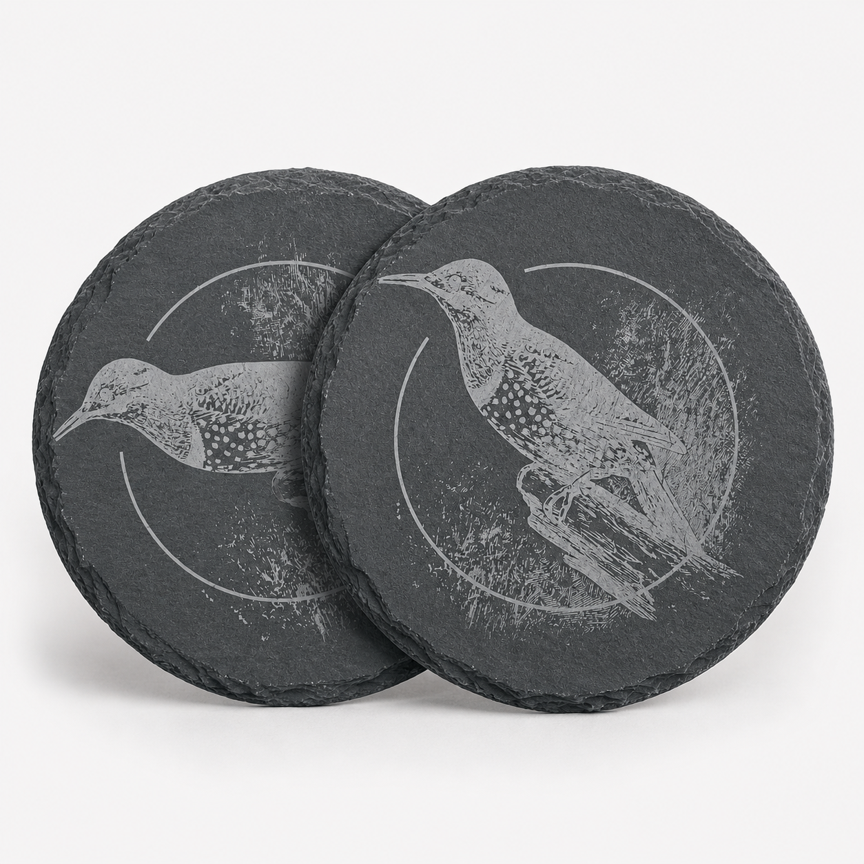 Slate Coasters - 2026 Wildlife Collection