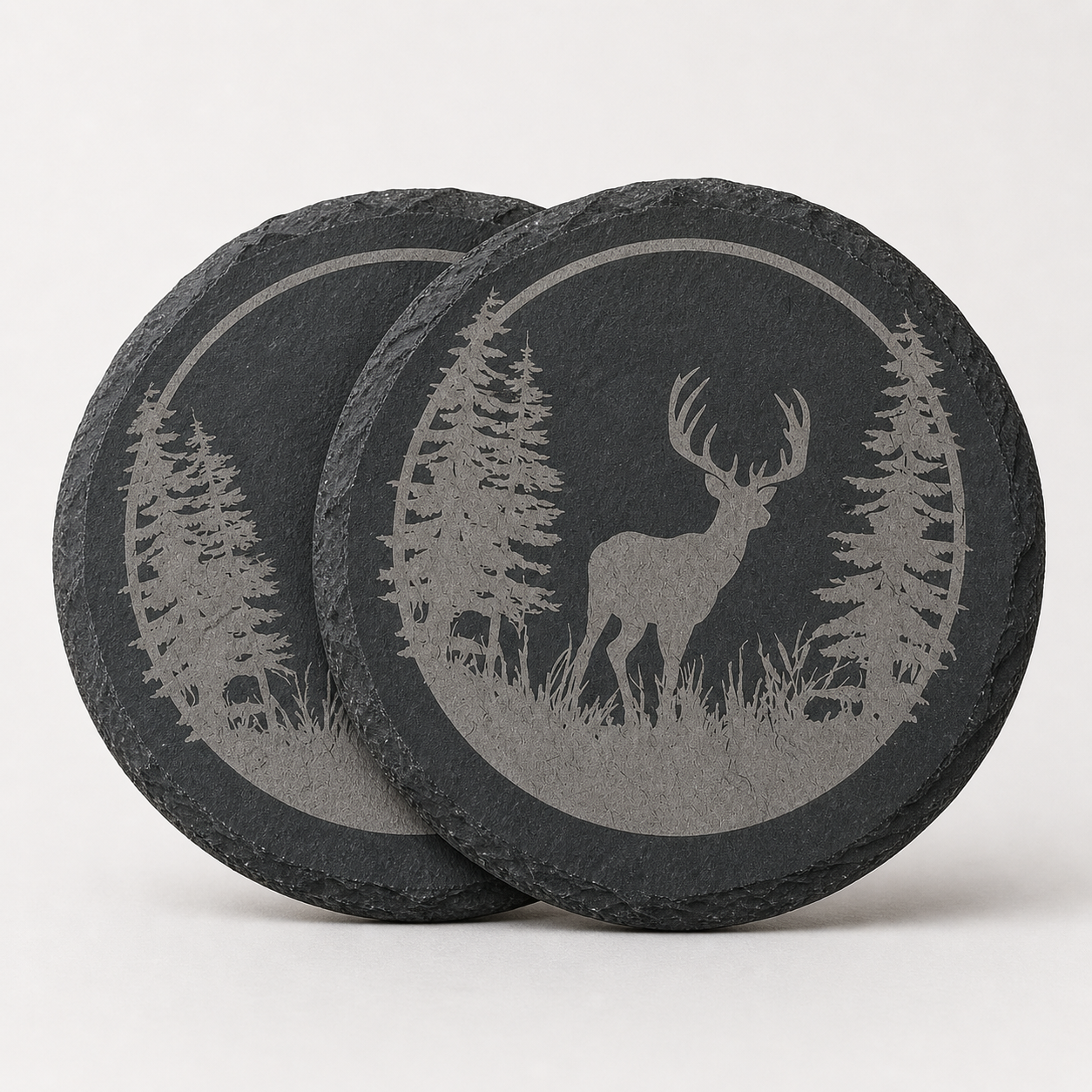 Slate Coasters - 2026 Wildlife Collection